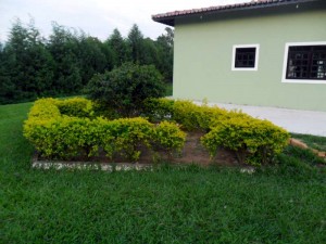 Depois